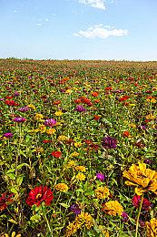 Switch在美国涨价、但Switch 2及游戏软件不受影响